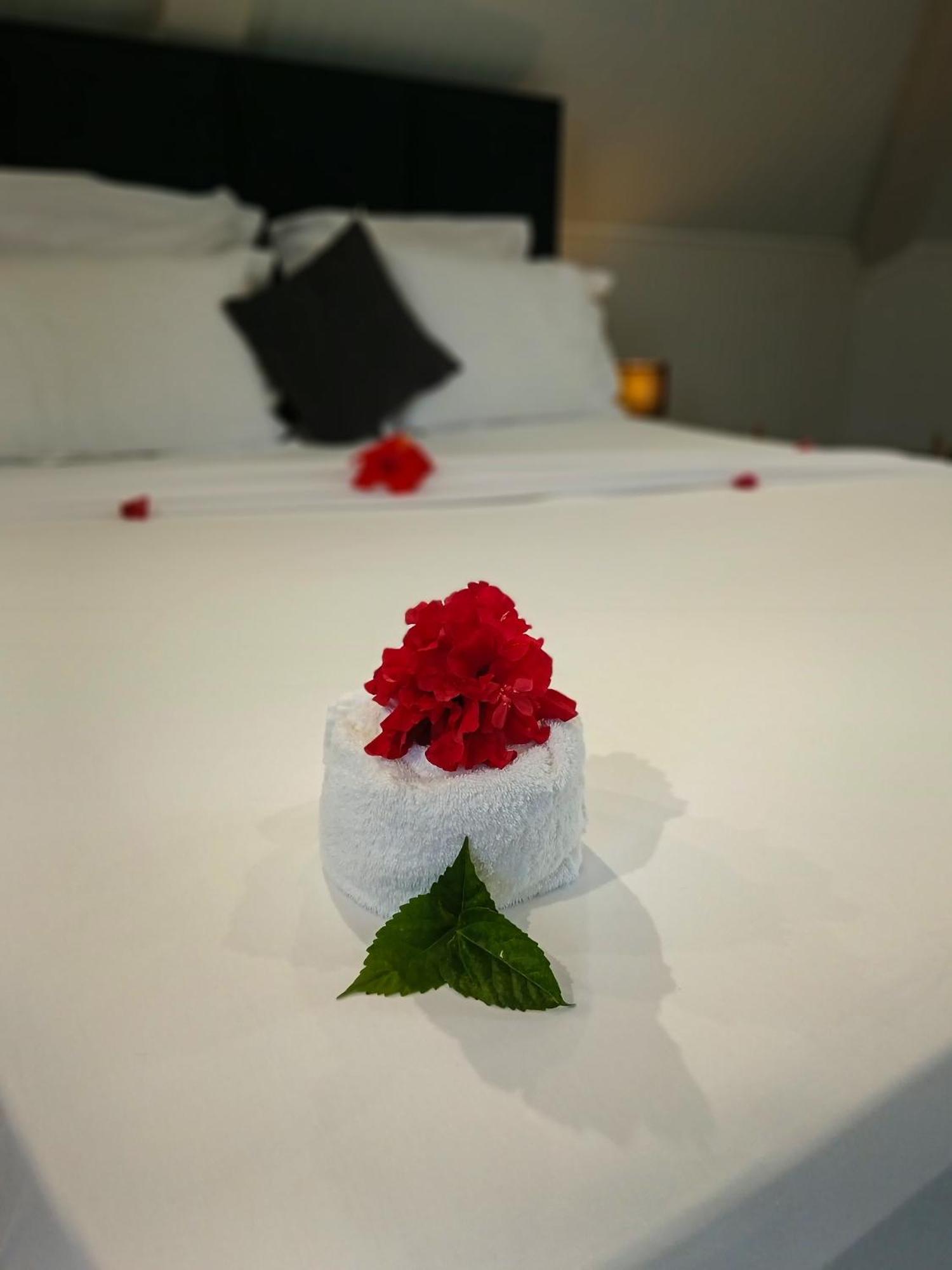 Hotel Village Pomme Cannelle 3 Etoiles Le Precheur Εξωτερικό φωτογραφία